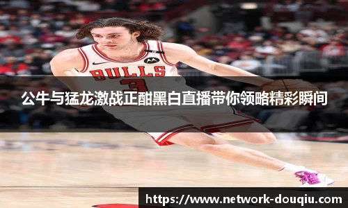 公牛与猛龙激战正酣黑白直播带你领略精彩瞬间